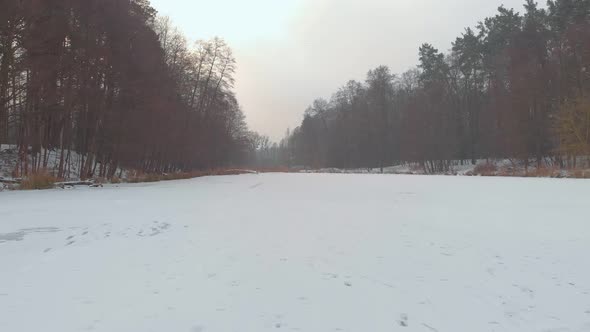 Forest And Winter Frozen Lake
