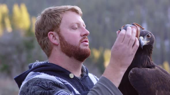 Falconer putting blinding hood on golden eagle