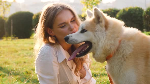 Young woman walking her cute Akita Inu dog in park on sunny day. Lovely pet