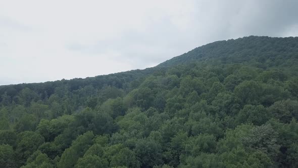 Drone flying forward and low over trees and forest in the Smoky Mountains in eastern Tennessee on a