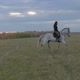 A Young Attractive Woman Rides a White Horse Across a Field at Sunset - VideoHive Item for Sale