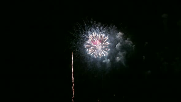 Colorful Firework display at night on sky background