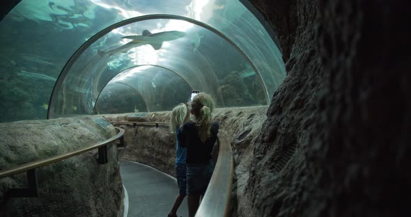 Girl Snapping Photos of Fishes with Little Boy While in an Underwater Tunnel