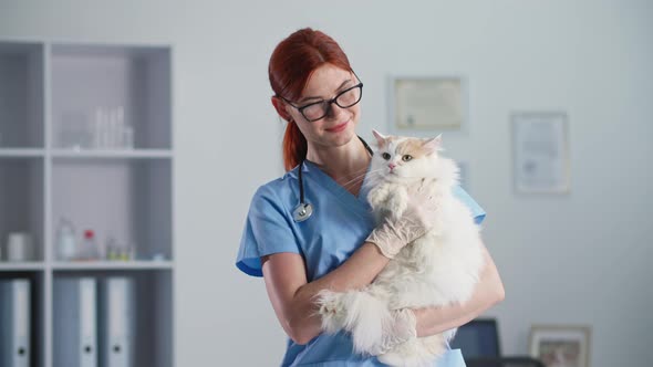 Pet Health Caring Woman Doctor in Glasses with Phonendoscope Around Her Neck with Cat in Arms Stands / Videohive, Stock footage, Medical