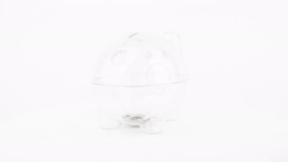 Stop motion animation coin into a piggy bank and rotation on white background, Saving growth money c alt