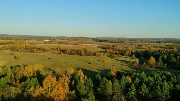 Autumn forest seen from above