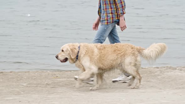 Teenage Boy on Coastal Walk with Labrador Dog