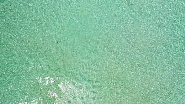 Aerial drone shot seascape of luxury bay beach adventure by transparent ocean with white sandy backg