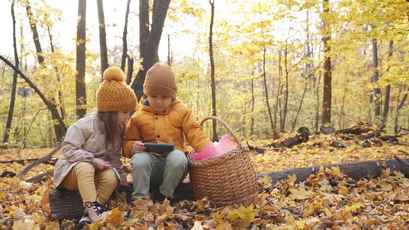 Little Kids Use Smartphone in Forest