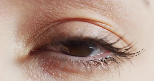 Close up of a brown eye