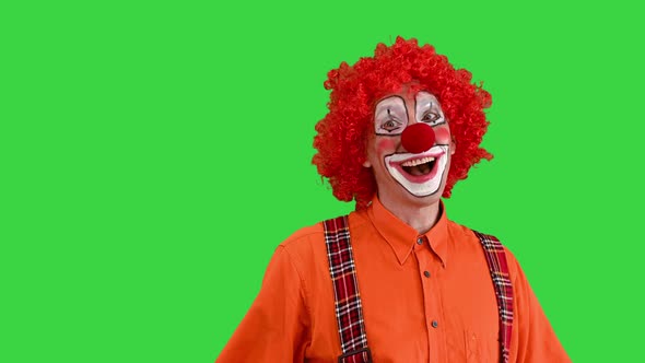 Shaking Clown in Love Being Shy and Sending a Kiss To Camera on a Green Screen Chroma Key
