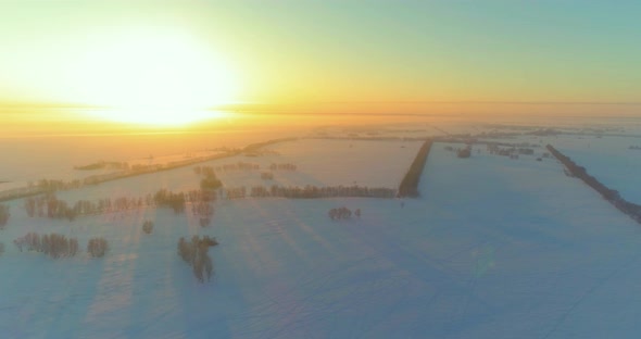 Aerial Drone View of Cold Winter Landscape with Arctic Field Trees Covered with Frost Snow and