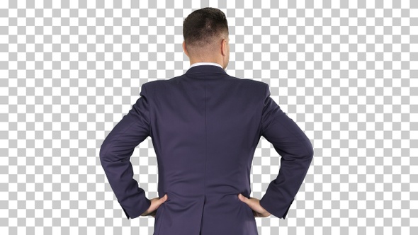 Businessman looking around with hands on hips, Alpha Channel