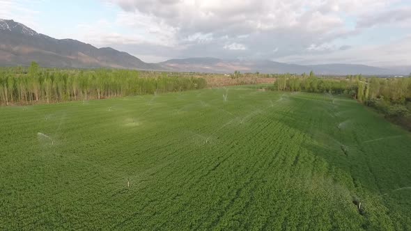 Industrial Irrigation of a Lettuce Field in Germany