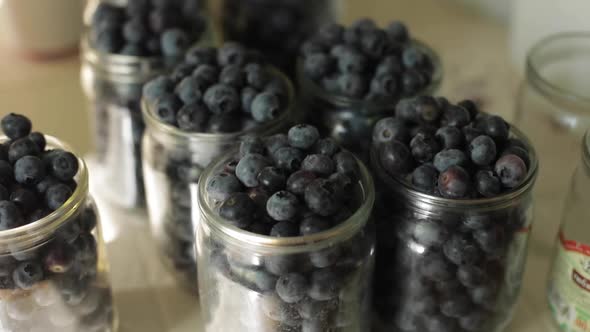 Fresh Blueberries