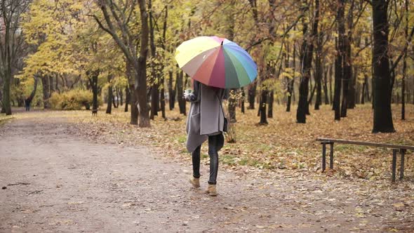 Back View of a Young Woman with Red Hair Walking in Autumn Park with Colorful Rainbow Umbrella and