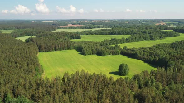 View From the Height of the Green Field and the Forest Near Minsk