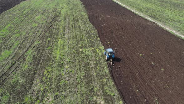 Tractor Plows Farm Land