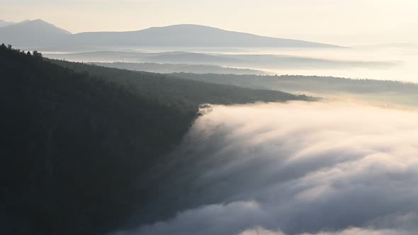 Ocean of Clouds Slowly Drifting Among Tree Tops in the Morning