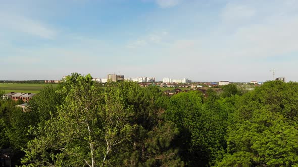 Beautiful nature in a residential area.