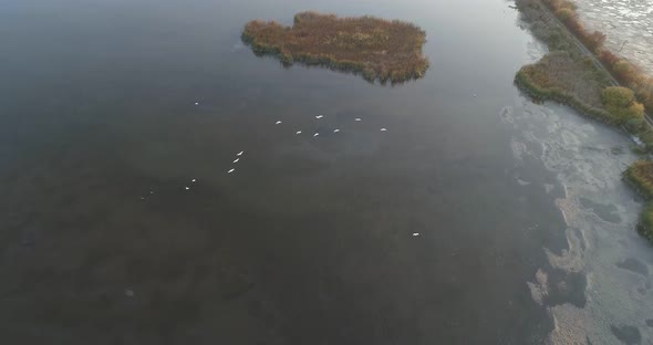 Wild lakes in Ukraine