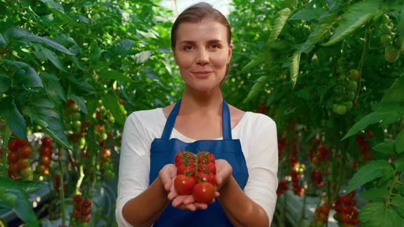 Woman Farmer Showing Tomatoes Harvest Smiling in Big Greenhouse Closeup