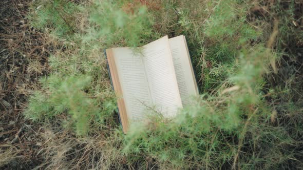 Open Book On A Bush With Green Foliage. - high angle