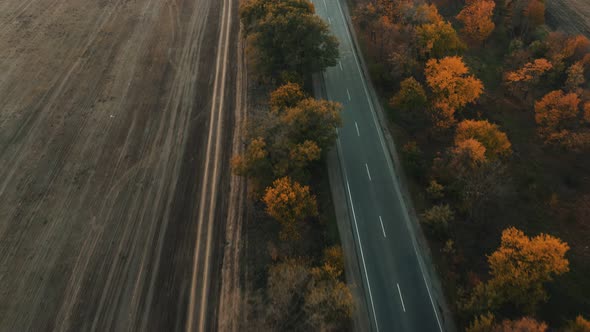 An Aerial View of an Evening Autumn Road Without Cars