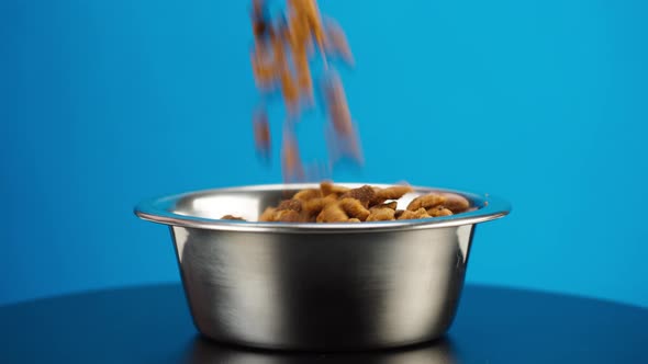 Pouring Dry Dog Food Into Metal Bowl Closeup