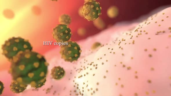 Replication of HIV virus in T cell