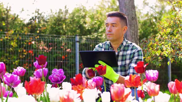 Man with Tablet Pc and Flowers at Summer Garden