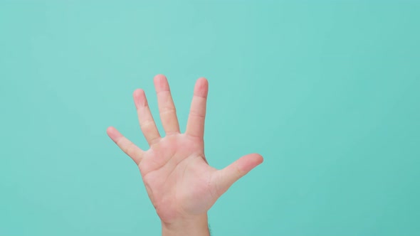 Close up shot of human hand raising, making hand gesture counting down number by fingers.