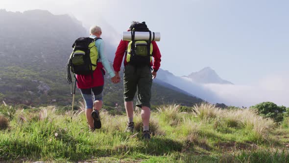 Rear view of senior hiker couple with backpacks and hiking poles holding hands