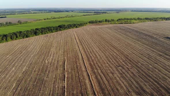 Aerial View of a Large Agricultural Field After Harvesting on a Sunny Day