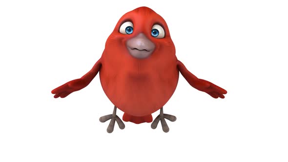 Fun cartoon bird