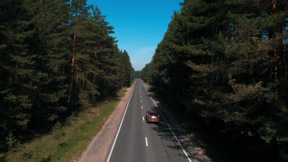 Moving Aerial View From Drone on Highway Going Through Pine Wood