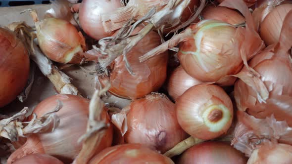 Onions