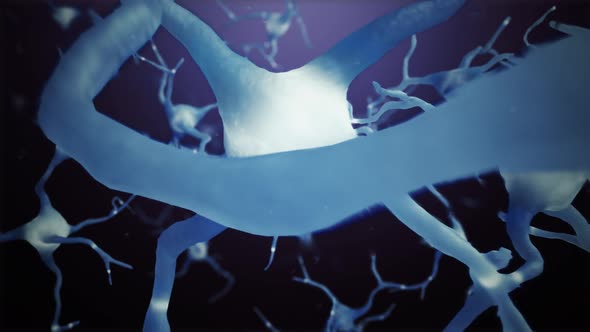 Loop Neuron Cells Connections World