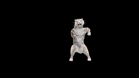 White Tiger Dancing HD