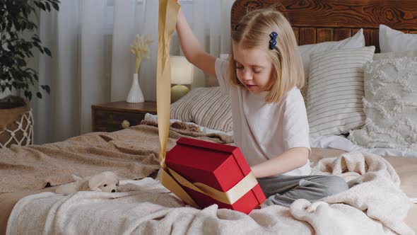 Little Caucasian Child Daughter Blonde Baby Kid Birthday Girl Sits on Bed in Cozy Bedroom Opens Big