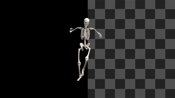 Skeleton Dancer Loop