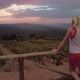 Vineyards of Montalcino Village at Sunset - VideoHive Item for Sale