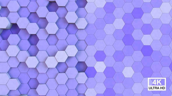 Hexagonal Background Melrose