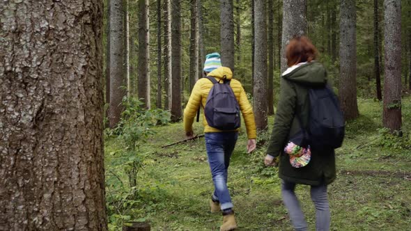 Hikers in Parco Naturale dei Laghi di Fusine, Italy