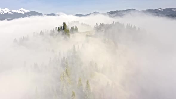Aerial View Through the Morning Fog in a Mountain Forest