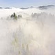 Aerial View Through the Morning Fog in a Mountain Forest - VideoHive Item for Sale