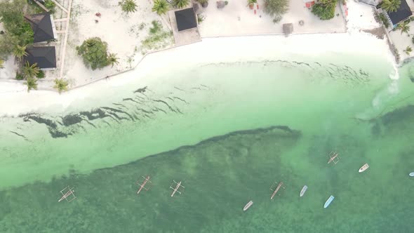 Vertical Video Boats in the Ocean Near the Coast of Zanzibar Tanzania Aerial View