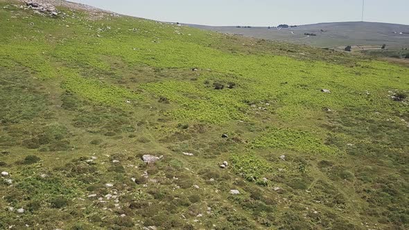 Aerial view of the Dartmoor hills National Park in Devon, UK.