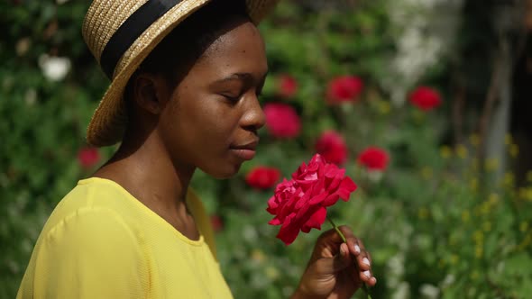 Side View Young Slim Woman Smelling Fragrance of Red Rose in Slow Motion Looking Up at Sunshine