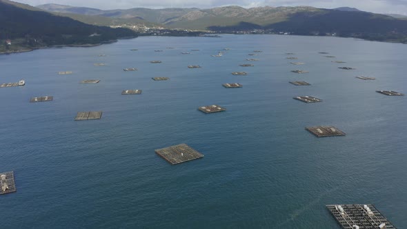 Mussel Seafood Farms in Ria Muros y Noya Galicia Spain